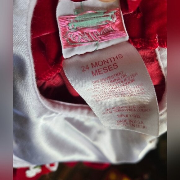 Vintage Allison Ann Velour Dress - Picture 3 of 7